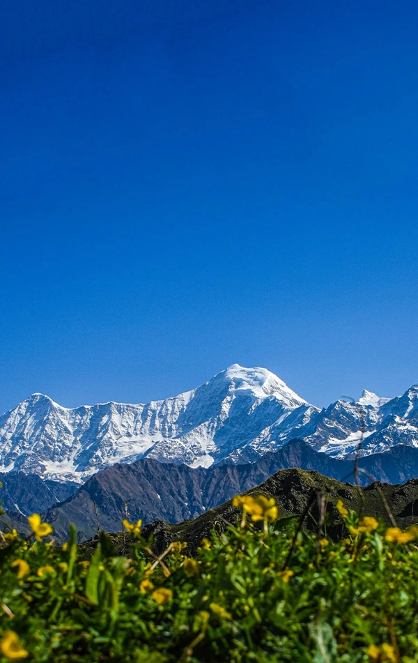 Surya Top Trek